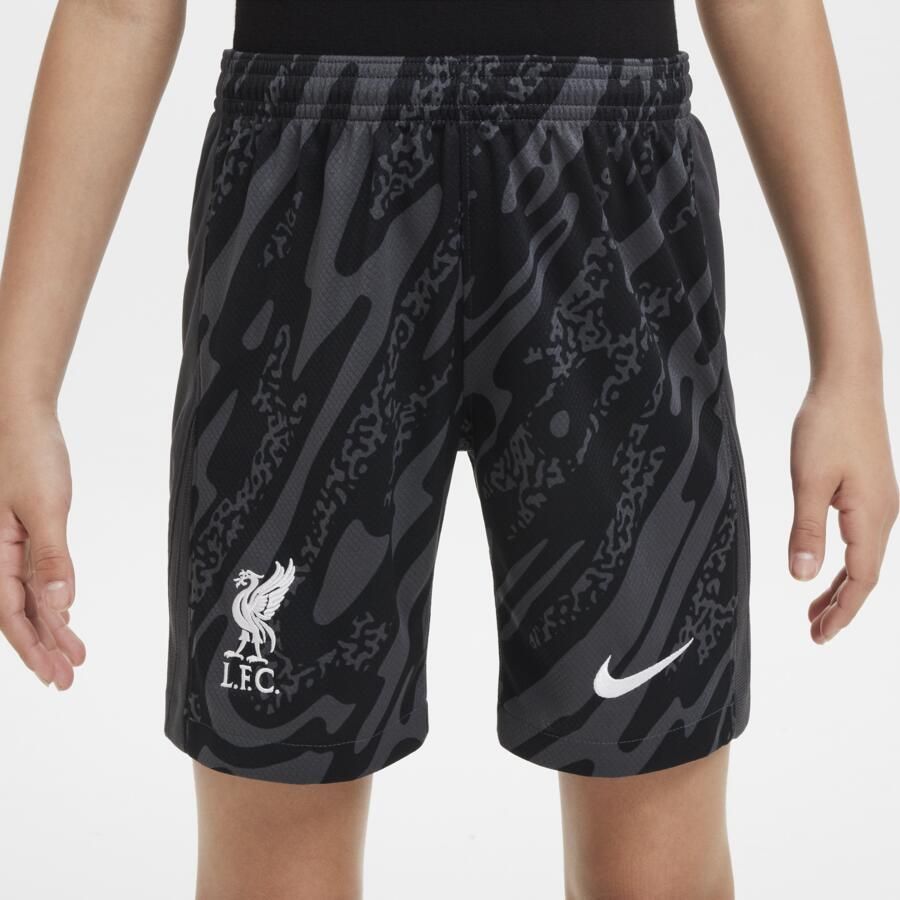 Nike Liverpool FC 2024 25 Stadium Goalkeeper replicavoetbalshorts met Dri-FIT voor kids Grijs - Foto 4