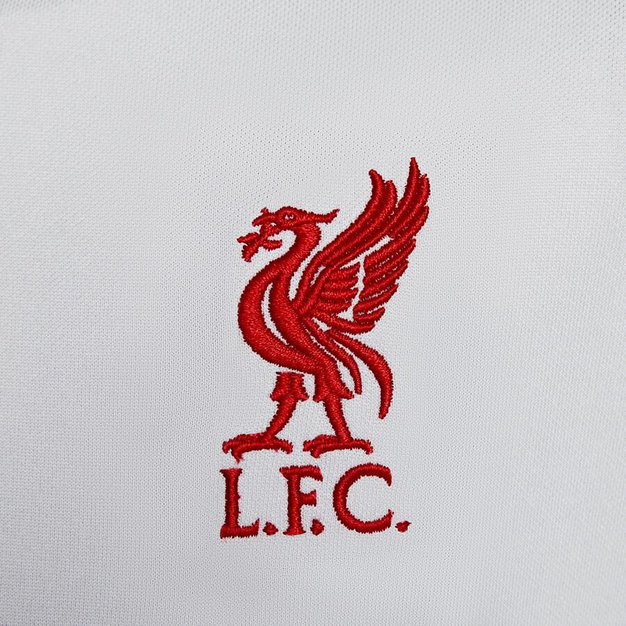 Nike Liverpool FC Academy Pro Derde Dri-FIT voetbaltop met korte mouwen voor kleuters Grijs - Foto 2