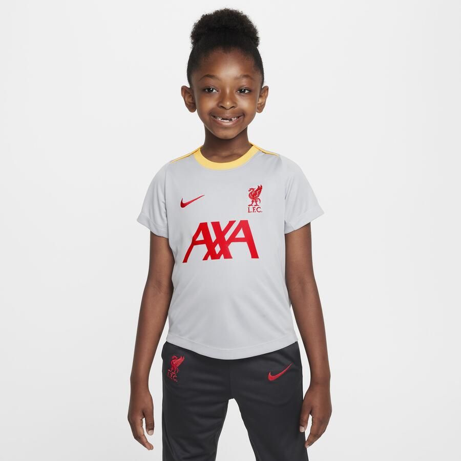 Nike Liverpool FC Academy Pro Derde Dri-FIT voetbaltop met korte mouwen voor kleuters Grijs - Foto 3