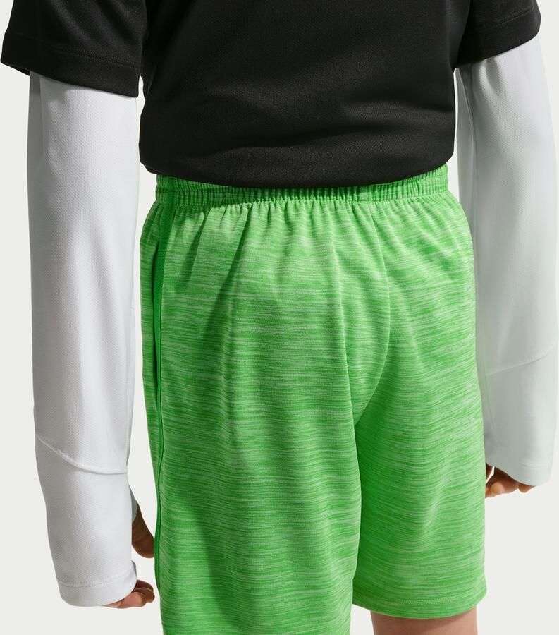 Nike Multi jongensshorts met Dri-FIT Groen