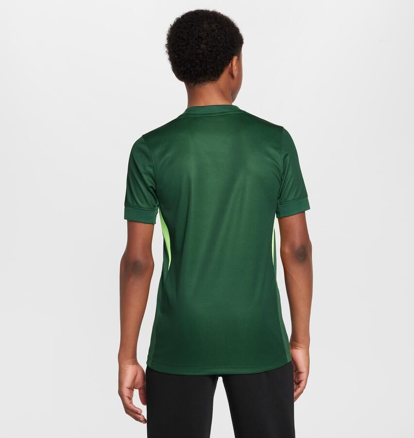 Nike Vfl Wolfsburg 2025 2026 Stadium Thuis Dri-Fit replica voetbaltop met korte mouwen voor jeugd Groen - Foto 3
