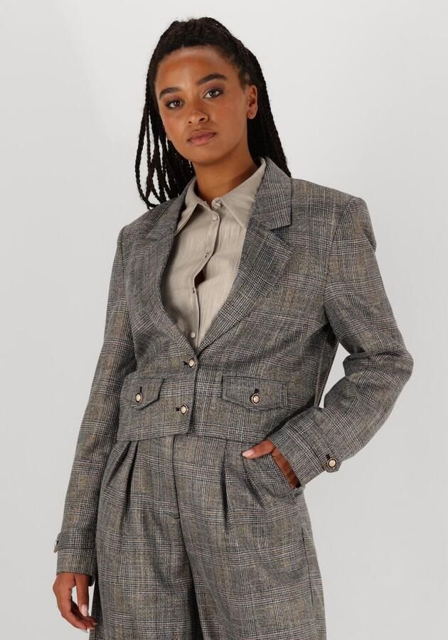 Aaiko Chique Tweed Blazer met Glitterdraad Gray Dames - Foto 4