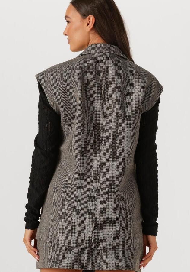 Aaiko gestreepte regular blazer met wol grijs met pailletten