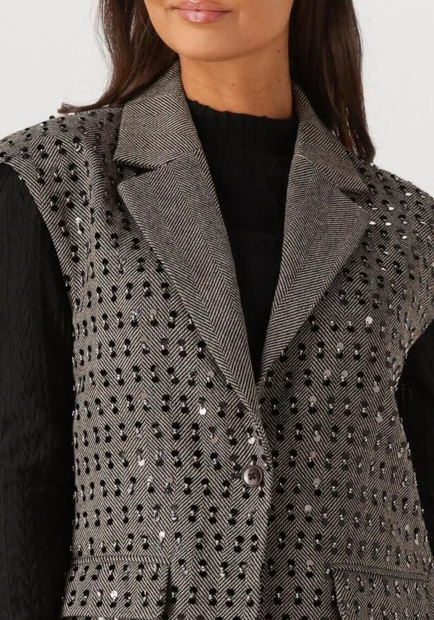 Aaiko gestreepte regular blazer met wol grijs met pailletten - Foto 2