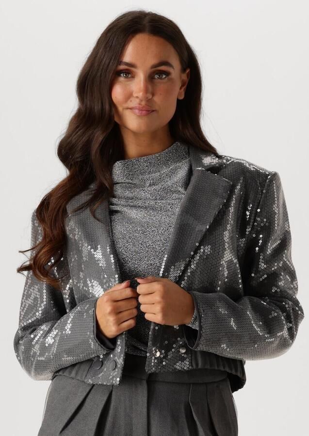 Aaiko Pailletten blazer voor glamoureuze avonden Gray Dames - Foto 4