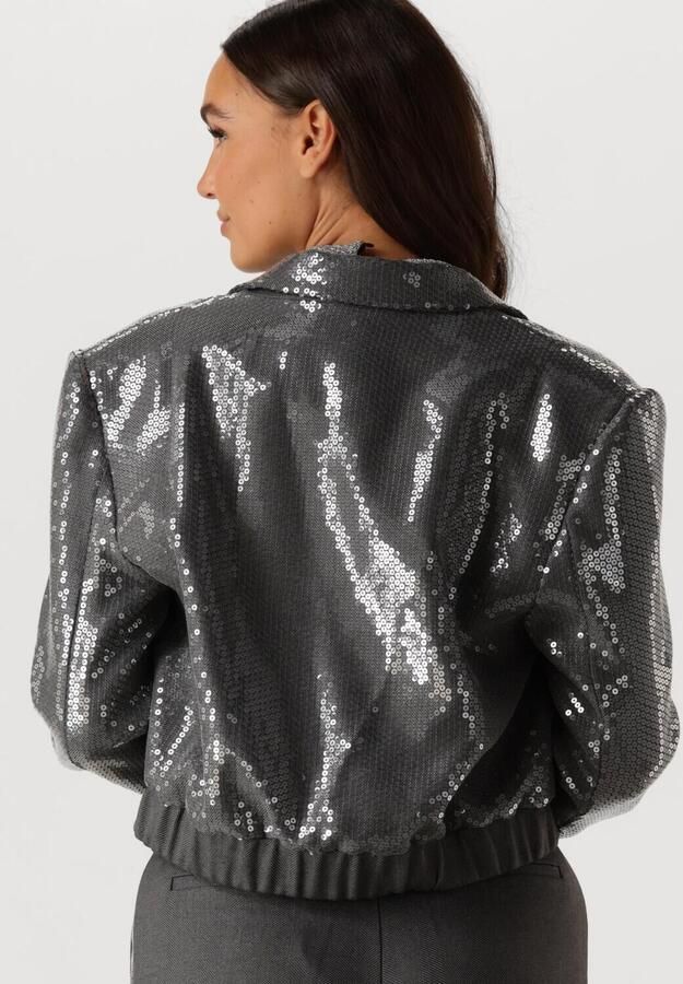 Aaiko Pailletten blazer voor glamoureuze avonden Gray Dames - Foto 3