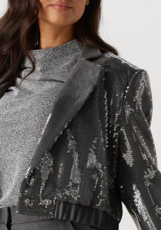 Aaiko Pailletten blazer voor glamoureuze avonden Gray Dames - Foto 2