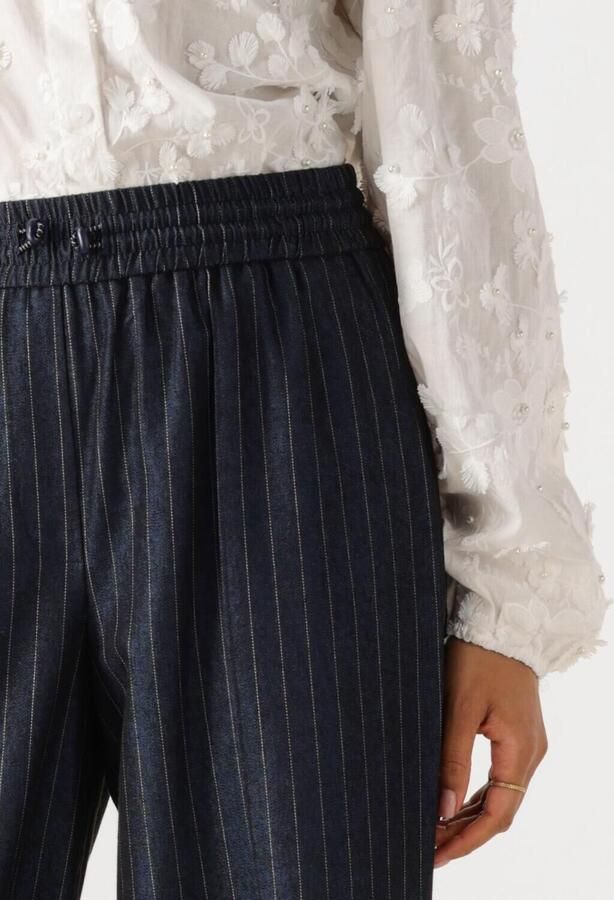 AAIKO Dames Broeken Esila Pinstripe Co 510 Donkerblauw - Foto 3