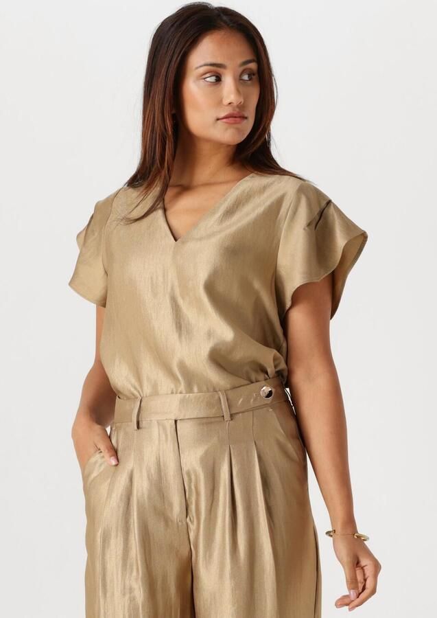 AAIKO Dames Tops & T-shirts Minny Shimmery Vis 512 Goud