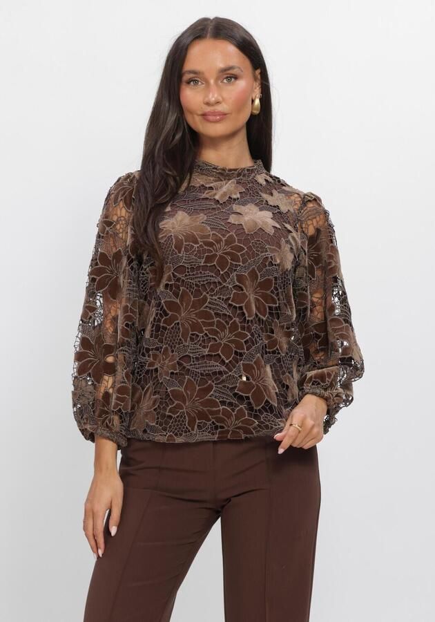 AAIKO Dames Tops & T-shirts Shaila Velvet Pes 500 Bruin