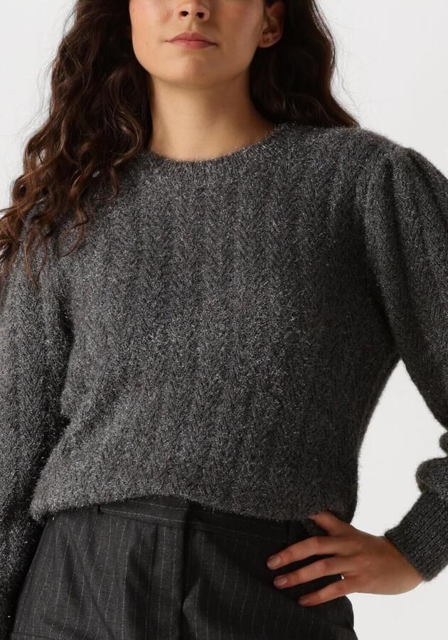 AAIKO Dames Truien & Vesten Femme Pes 377 Grijs