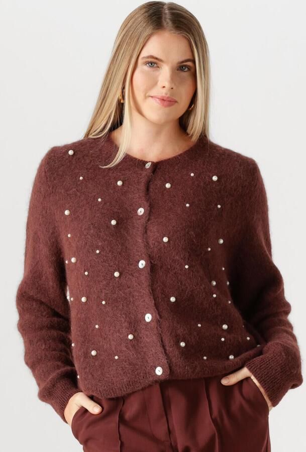 AAIKO Dames Truien & Vesten Lorys Pearls Cardigan Bruin - Foto 4