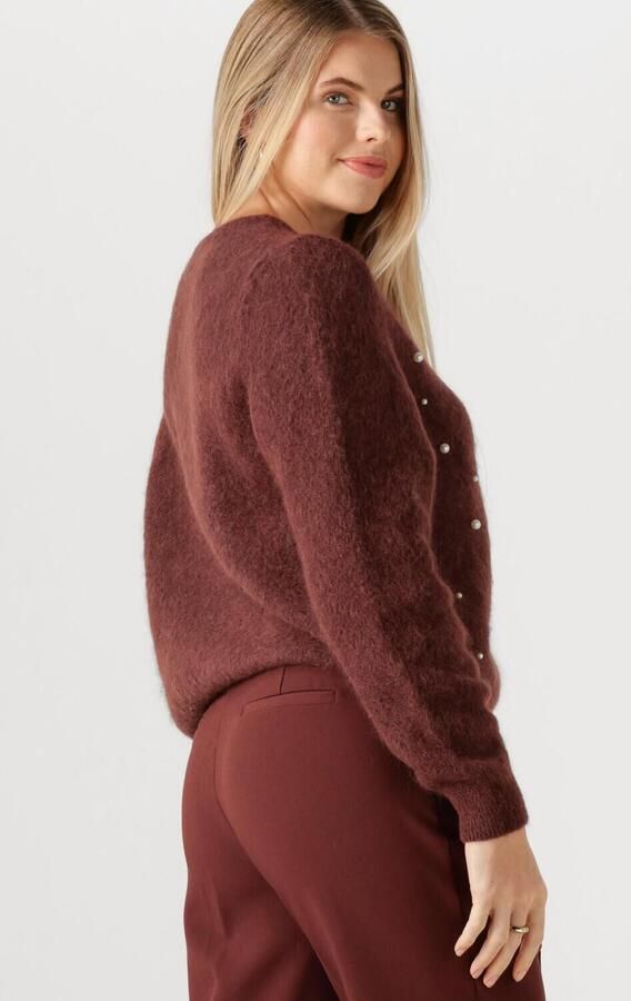 AAIKO Dames Truien & Vesten Lorys Pearls Cardigan Bruin - Foto 3