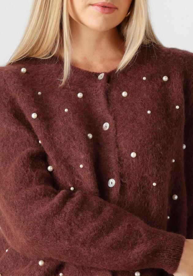 AAIKO Dames Truien & Vesten Lorys Pearls Cardigan Bruin