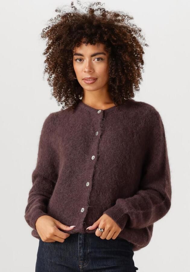 AAIKO Dames Truien & Vesten Lorys Wp 389 Bruin - Foto 4