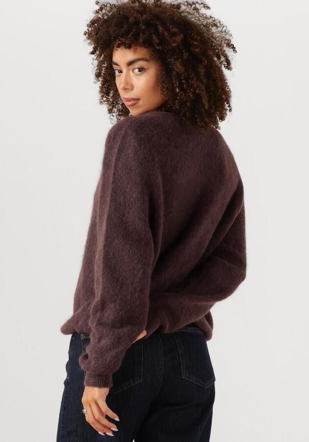 AAIKO Dames Truien & Vesten Lorys Wp 389 Bruin