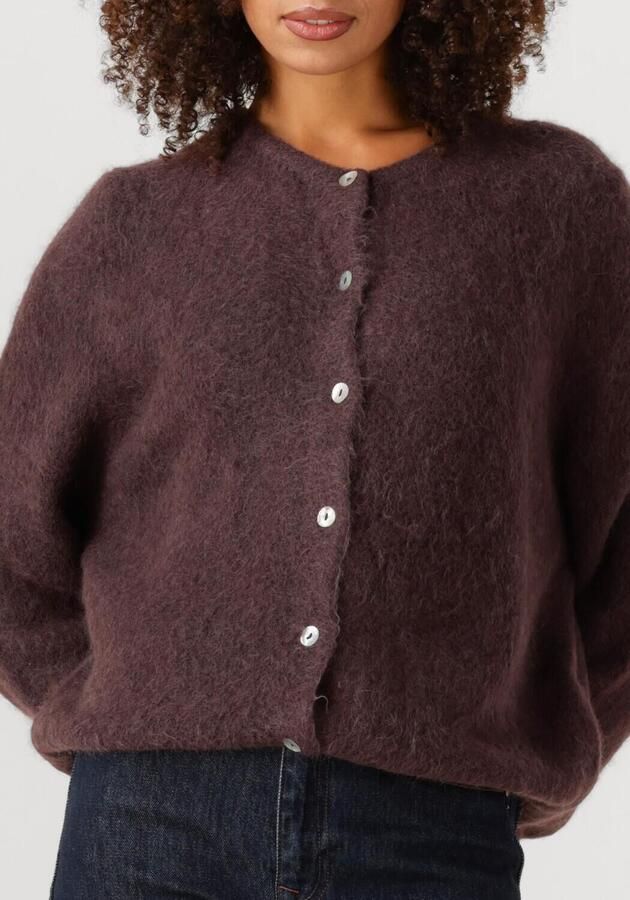 AAIKO Dames Truien & Vesten Lorys Wp 389 Bruin - Foto 2