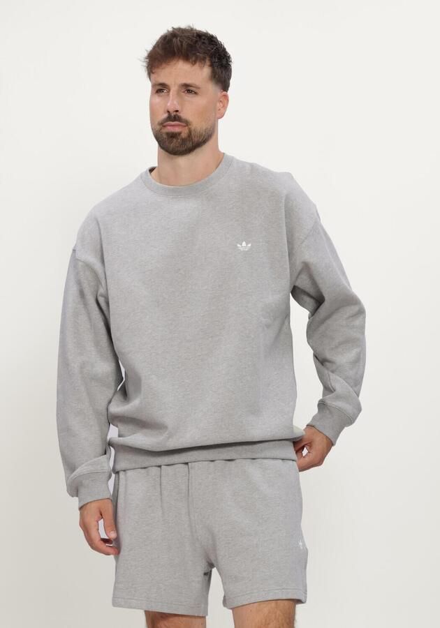 ADIDAS Heren Truien & Vesten Ess Loose Crew Grijs