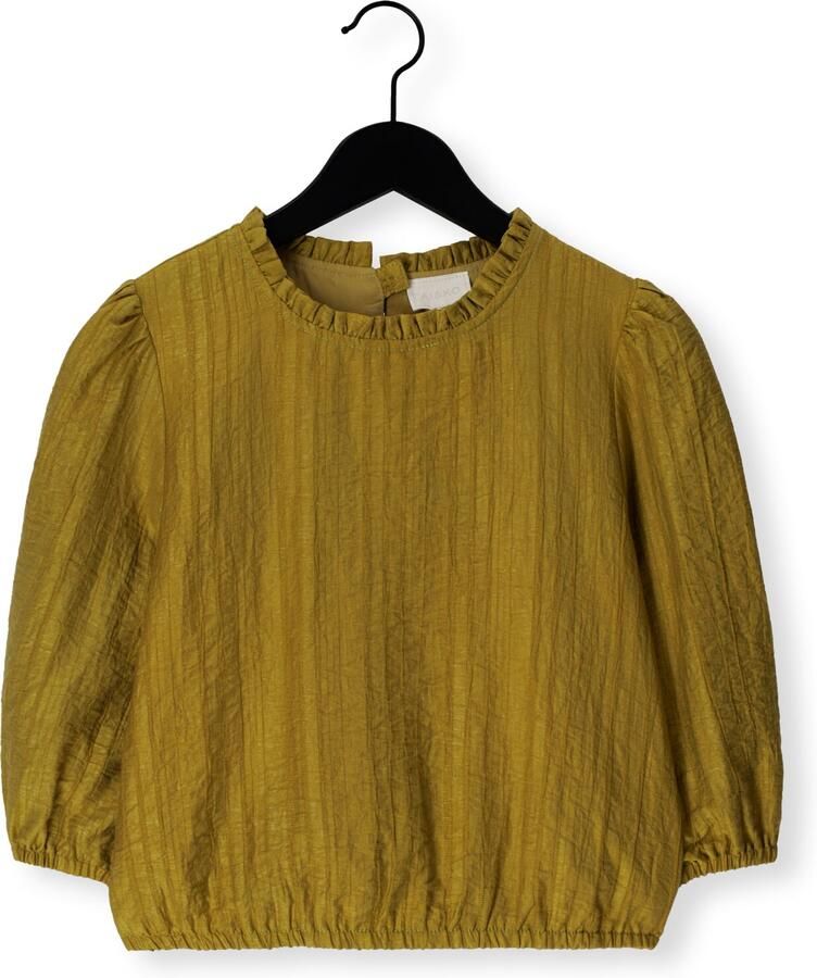 AI&KO Meisjes Tops & T-shirts Alika Structure Lyo 512 G Oker