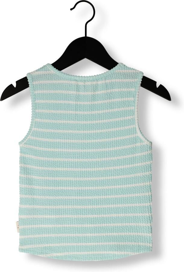 AI&KO Meisjes Tops & T-shirts Daira Stripe Pes 203 G Mint
