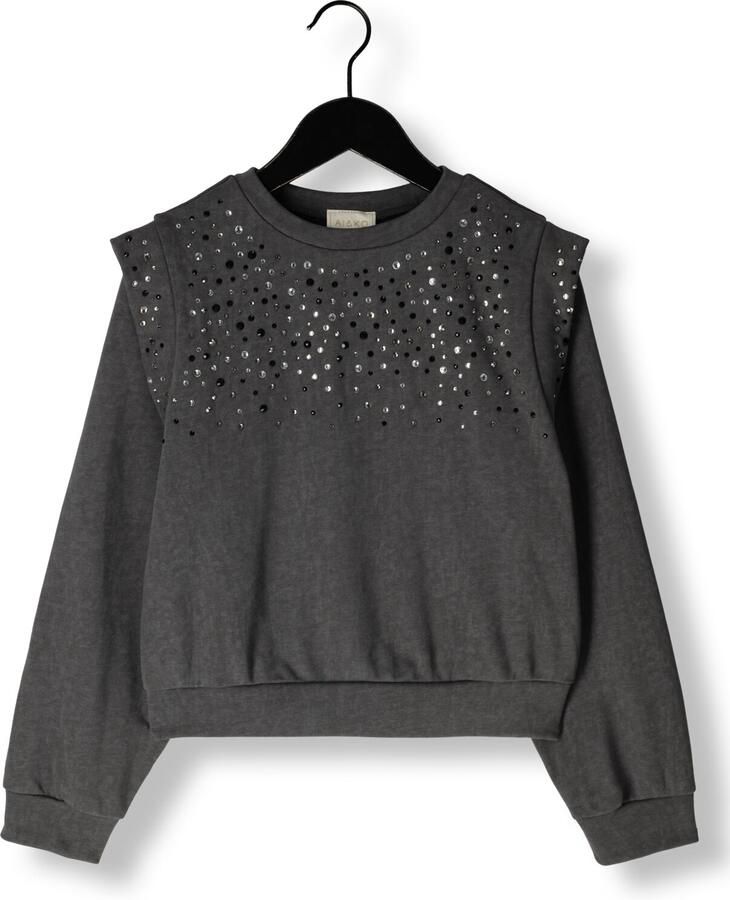 AI&KO Meisjes Truien & Vesten Carolla Strass Co 337 G Grijs - Foto 3