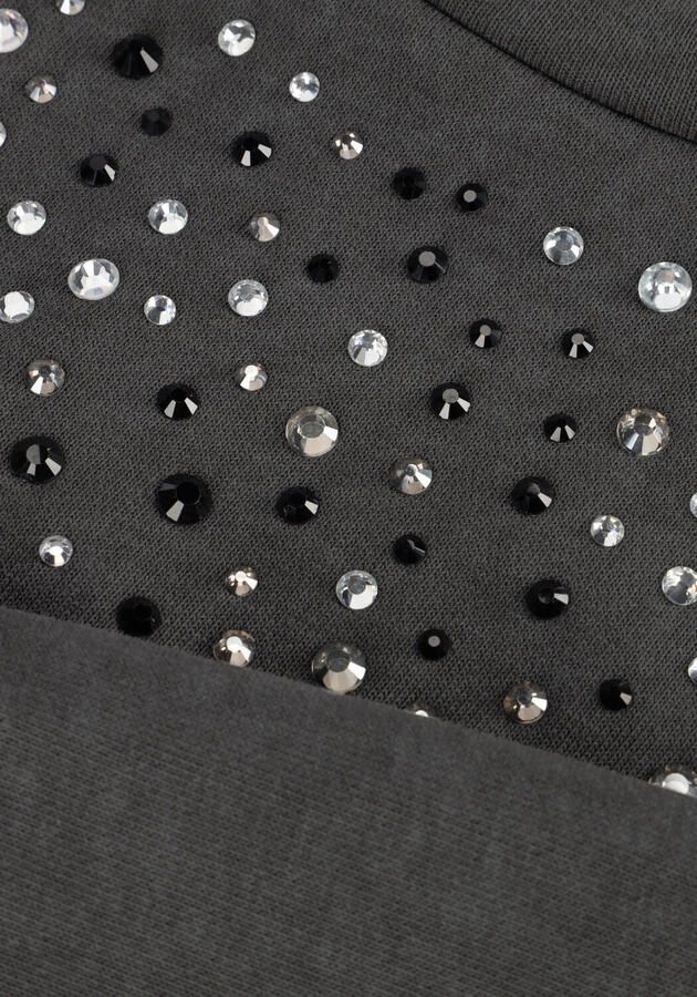 AI&KO Meisjes Truien & Vesten Carolla Strass Co 337 G Grijs