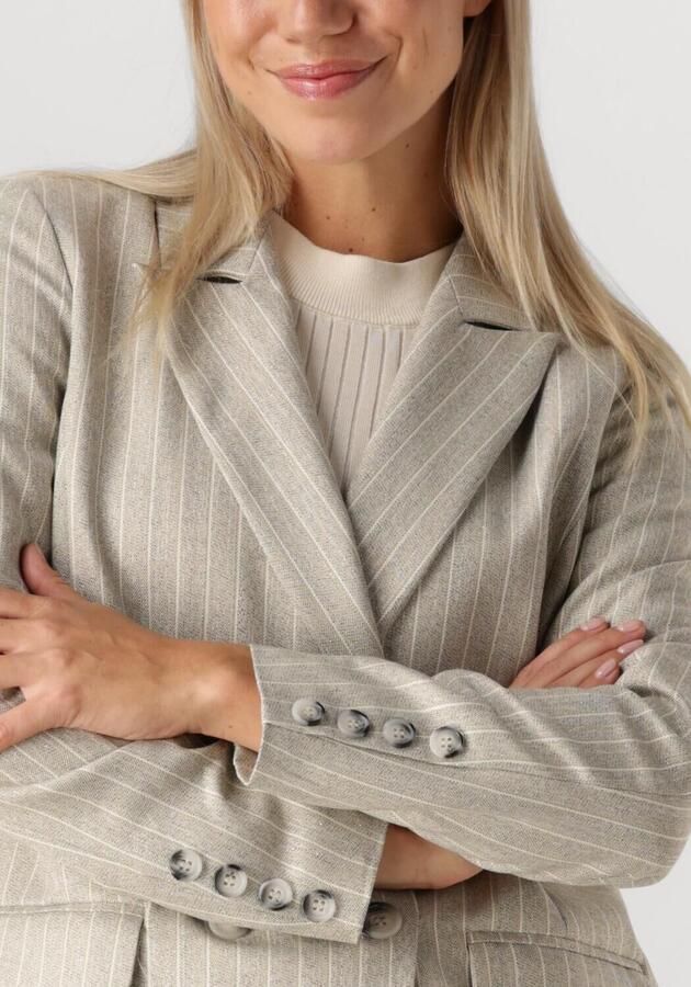 Aimée the Label Boa Damesblazer Grijs Gray Dames - Foto 3