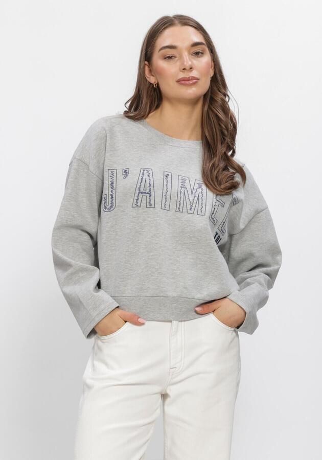 AIMEE THE LABEL Dames Truien & Vesten Elanss6 Sweater With Embroidery Grijs