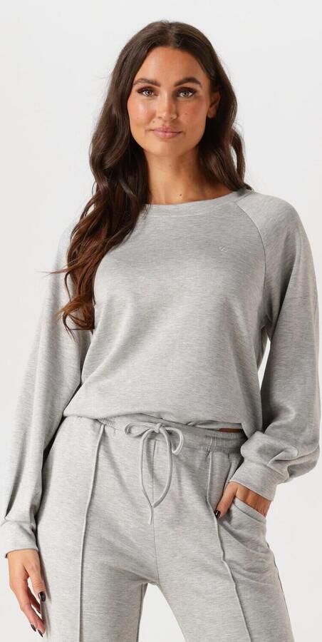 AIMEE THE LABEL Dames Truien & Vesten Novy Grijs - Foto 4