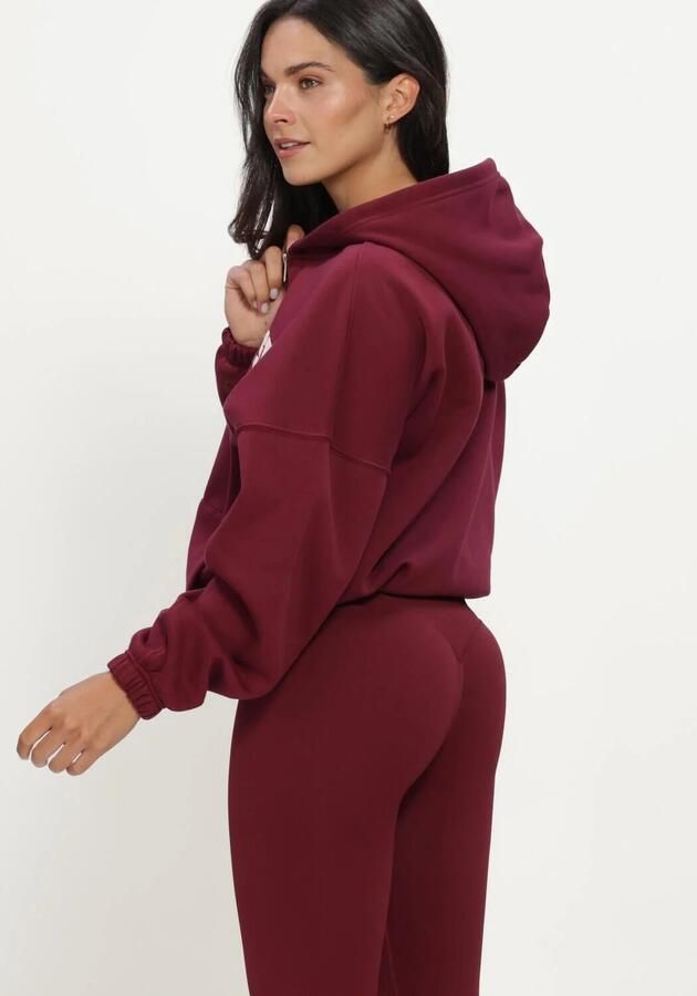 AIM'N Dames Truien & Vesten Varsity Sweat Zip Hood Bordeaux - Foto 3