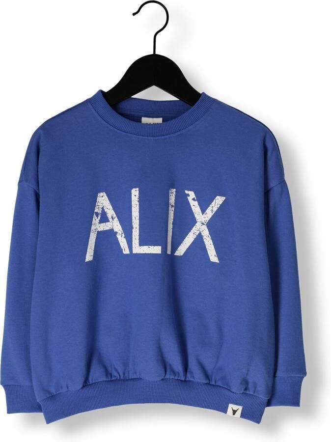 ALIX MINI Jongens Truien & Vesten Knitted On Tour Sweater Blauw - Foto 2