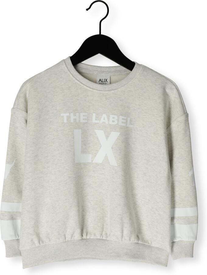 ALIX MINI Truien & Vesten Sporty Sweater Lichtgrijs