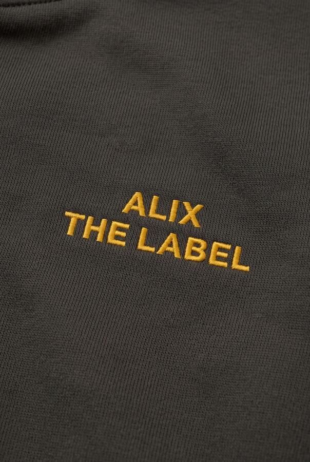 ALIX MINI Jongens Truien & Vesten Zip Cardigan Donkergroen