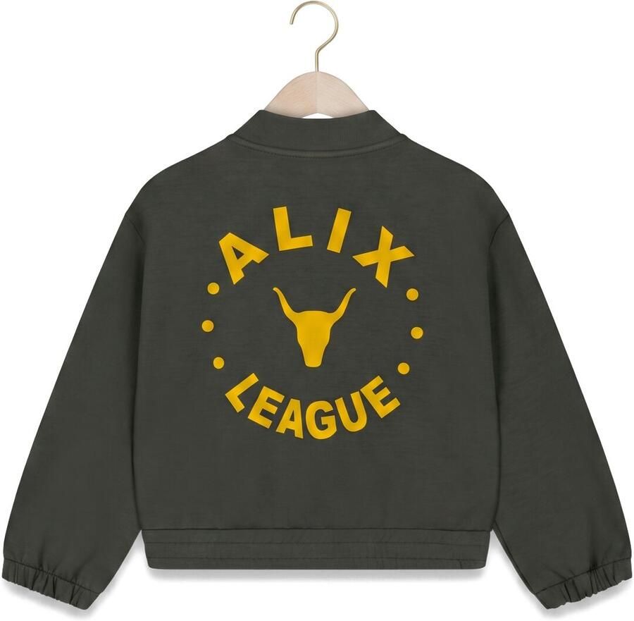 ALIX MINI Jongens Truien & Vesten Zip Cardigan Donkergroen - Foto 2
