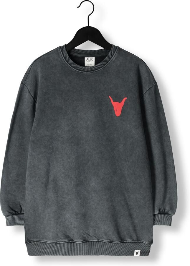 ALIX MINI Meisjes Jurken Knitted Sweater Dress Donkergrijs - Foto 3