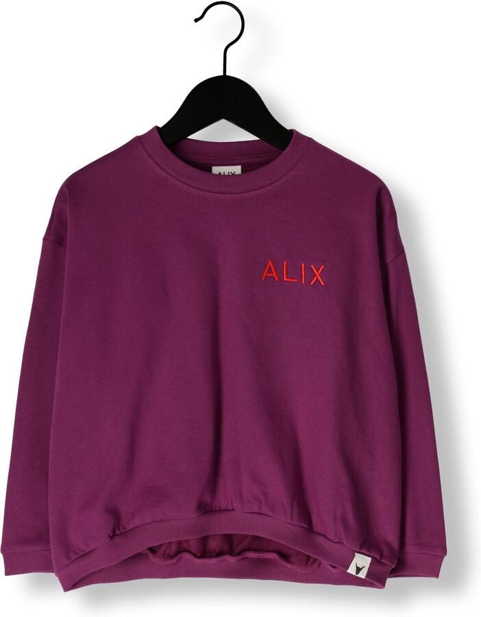 ALIX MINI Meisjes Truien & Vesten Knitted Bull Sleeve Sweater Paars - Foto 2