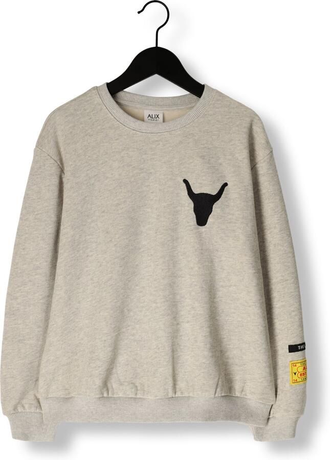 ALIX MINI Meisjes Truien & Vesten Knitted Label Sweater Lichtgrijs - Foto 4