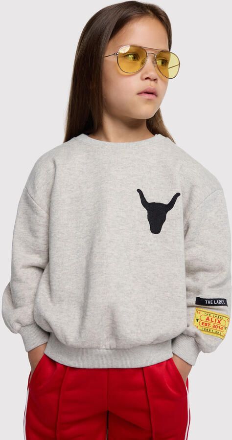 ALIX MINI Meisjes Truien & Vesten Knitted Label Sweater Lichtgrijs - Foto 3