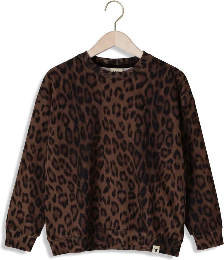 Alix the Label Alix Mini oversized sweater met panterprint bruin