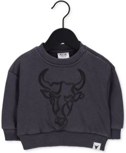 Alix Mini Grijze Sweater Teens Knitted WAshed Bull Sweater