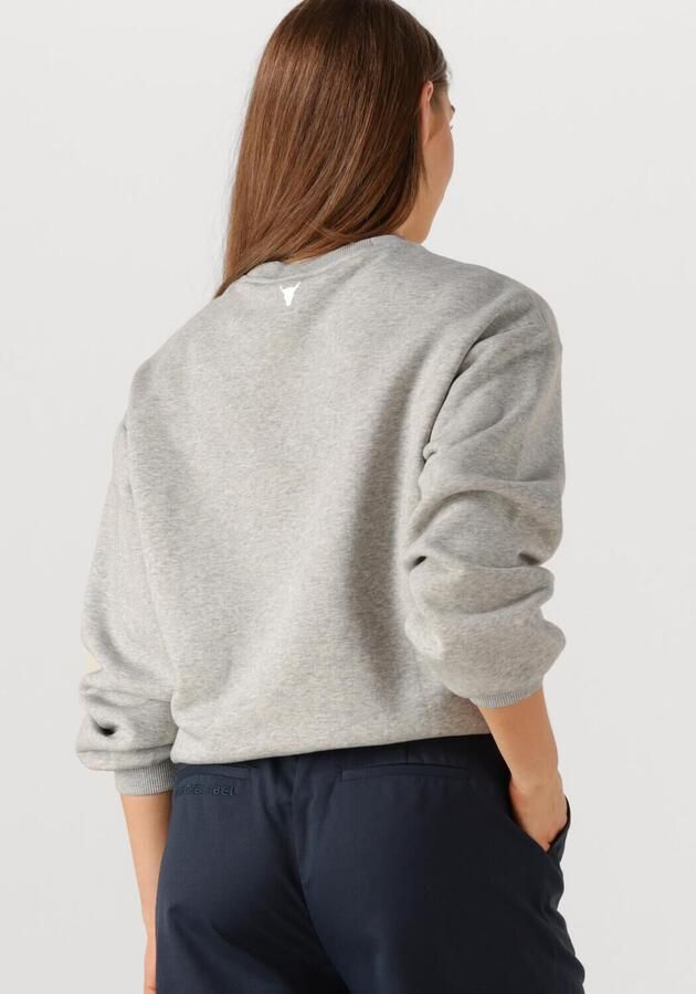 ALIX THE LABEL Dames Truien & Vesten Foil Logo Sweater Grijs