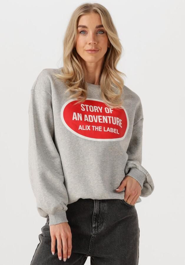 ALIX THE LABEL Dames Truien & Vesten Ladies Knitted Adventure Sweater Grijs - Foto 4
