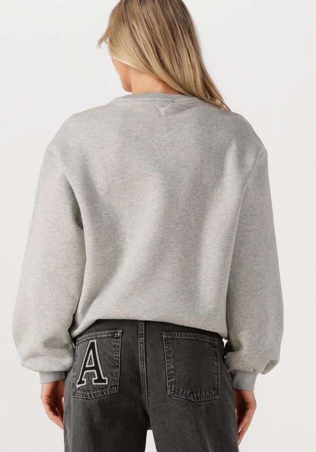 ALIX THE LABEL Dames Truien & Vesten Ladies Knitted Adventure Sweater Grijs - Foto 1