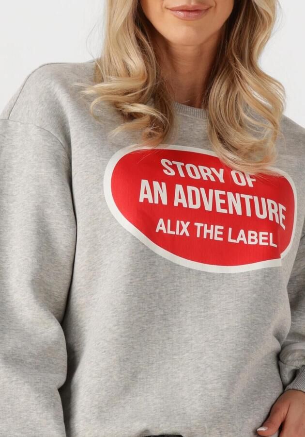 ALIX THE LABEL Dames Truien & Vesten Ladies Knitted Adventure Sweater Grijs - Foto 2