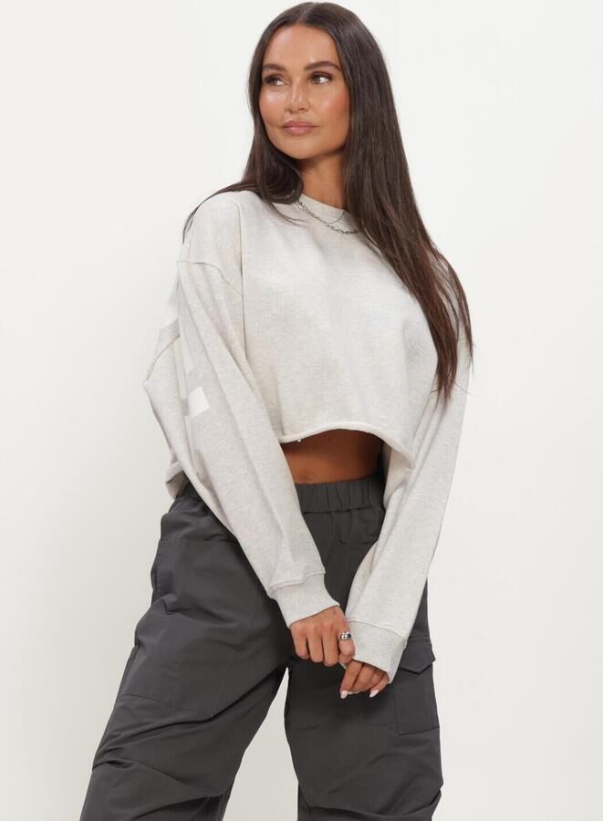 ALIX THE LABEL Dames Truien & Vesten Ladies Knitted Back Print Sweater Lichtgrijs