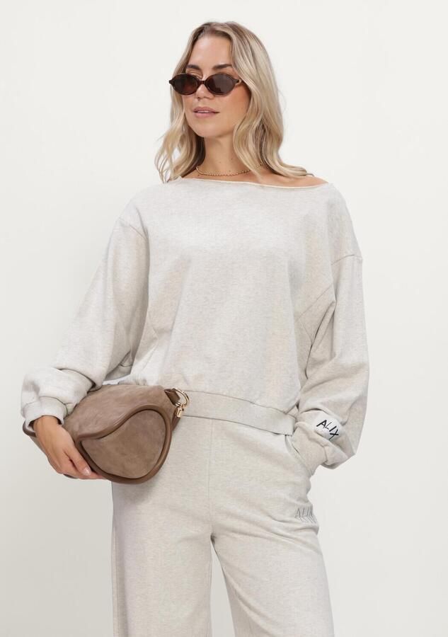 ALIX THE LABEL Dames Truien & Vesten Ladies Knitted Badwing Sweater Lichtgrijs