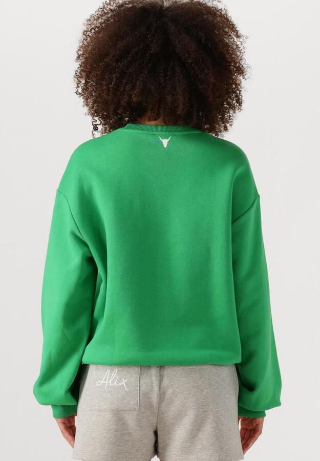 ALIX THE LABEL Dames Truien & Vesten Ladies Knitted Clean Logo Sweater Groen - Foto 2