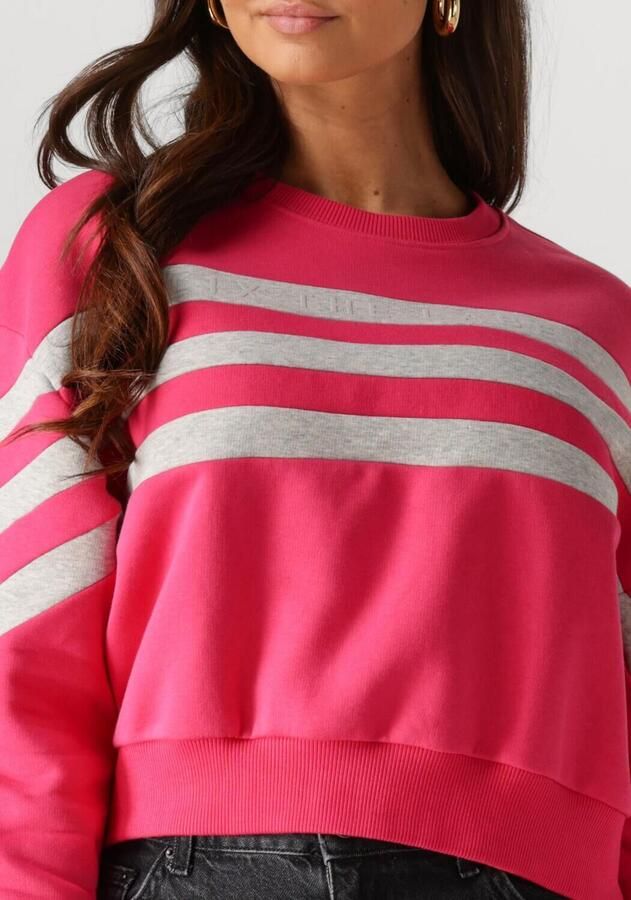 ALIX THE LABEL Dames Truien & Vesten Ladies Knitted Cropped Sweater Roze - Foto 2