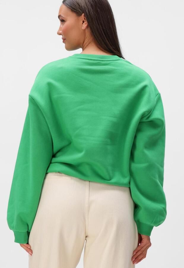 ALIX THE LABEL Dames Truien & Vesten Ladies Knitted Embroidered A Sweater Groen - Foto 4