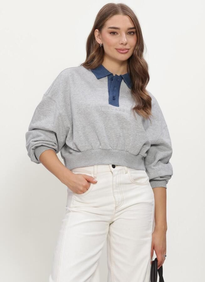 ALIX THE LABEL Dames Truien & Vesten Ladies Knitted Polo Sweater Grijs